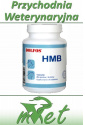 Dolfos HMB - 90 tabletek na poprawienie kondycji, siły i masy mięśniowej Twojego psa i kota