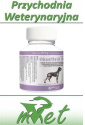 Bioarthrex HA - 90 tabletek na odnowę chrząstki stawowej psów