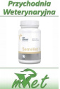 Semevet - 60 tabletek na poprawę jakości nasienia psów