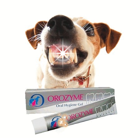 Enzymatyczna pasta do zębów dla psów