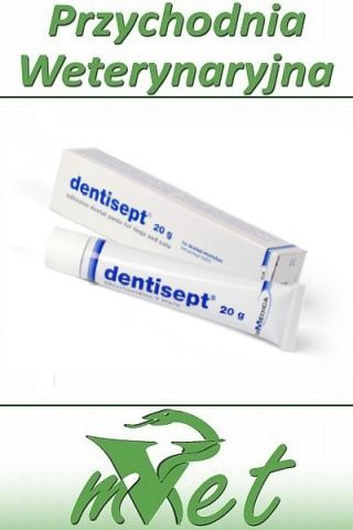 Dentisept - adhezyjna pasta do zębów dla psów i kotów z chlorheksydyną -  Choroby zębów i dziąseł kotów : mVet - sklep weterynaryjny