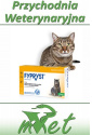 Fypryst Koty - 10 pipet dla kota o wadze powyżej 1 kg