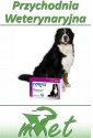 Fypryst Spot on XL - 3 pipety dla psa o wadze 40-60kg