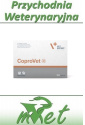 CoproVet - 30 kapsułek - zniechęca psy do zjadania odchodów (koprofagia)