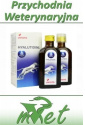 Hyalutidin DC - 2x syrop 125 ml - smaczny preparat na stawy dla psów i kotów