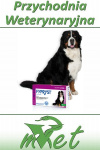 Fypryst Spot on XL - 1 pipeta dla psa o wadze 40-60kg