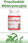 Dolvit Karnityna - 90 tabletek - dla psów