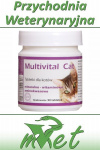 Dolfos Multivital Cat - 90 tabletek
