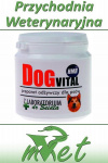 Dr Seidel Dog Vital preparat odżywczy z HMB - Poprawa kondycji psów aktywnych, zwiększenie muskulatury u psów wystawowych.