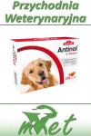 Antinol Sizarol 120 kapsułek na stawy dla psów i kotów