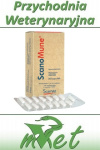 Scanomune 20 mg - 30 kapsułek - immunostymulator dla psów i kotów