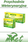 Amylactiv Balance - 30 kapsułek - enzymy trawienne dla psa i kota